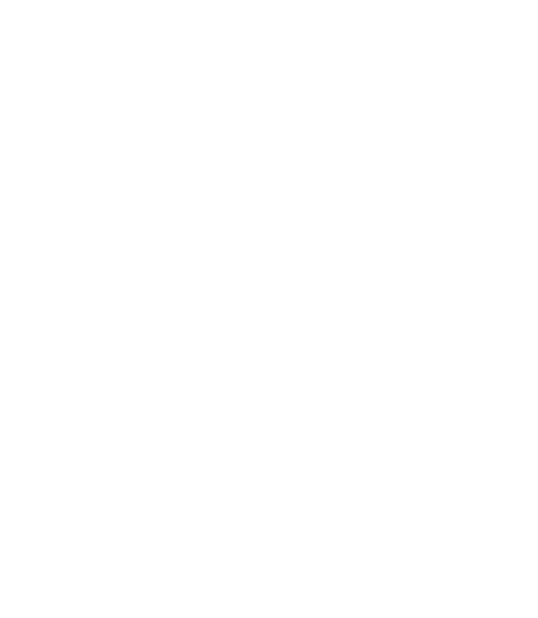 Bourbon Développement